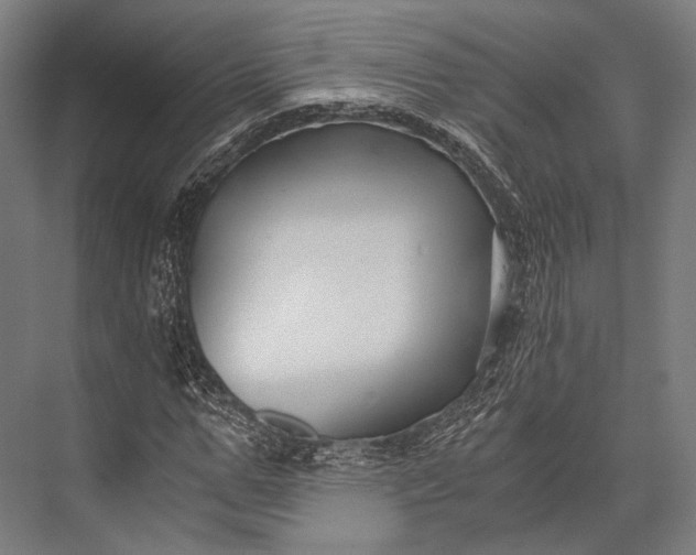 X0000076050967200610061506