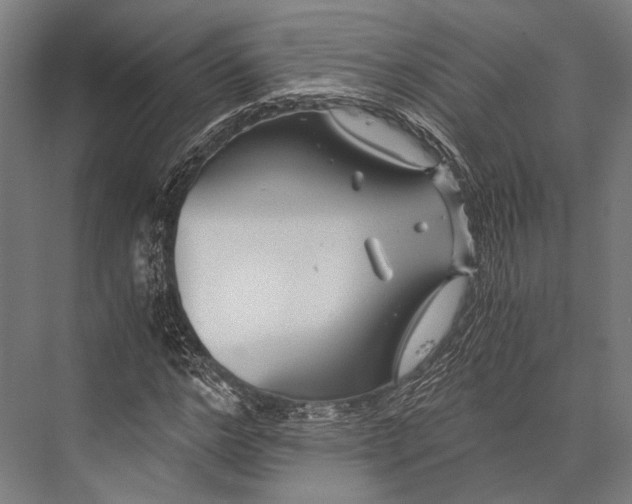 X0000076050968200610061506