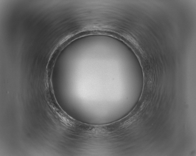X0000076050974200610061506