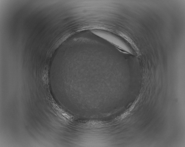 X0000076050977200610061506