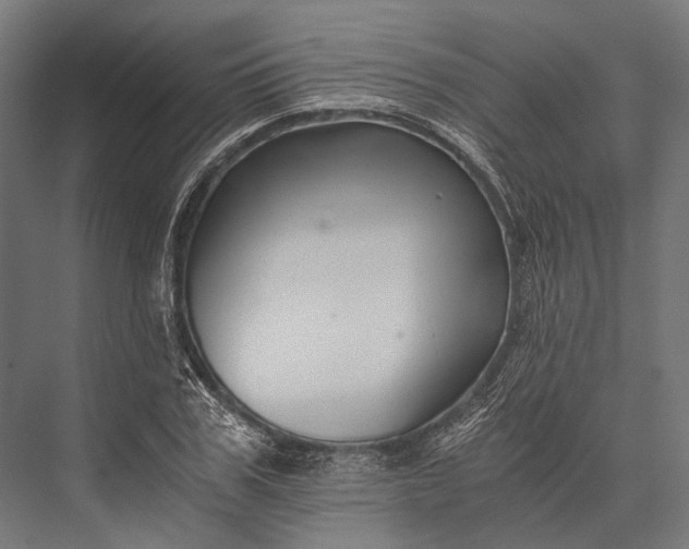 X0000076050979200610061505