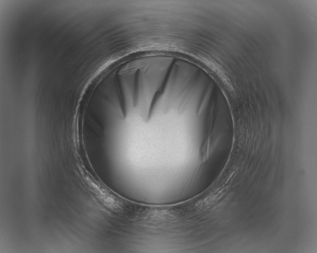 X0000076050982200610061505