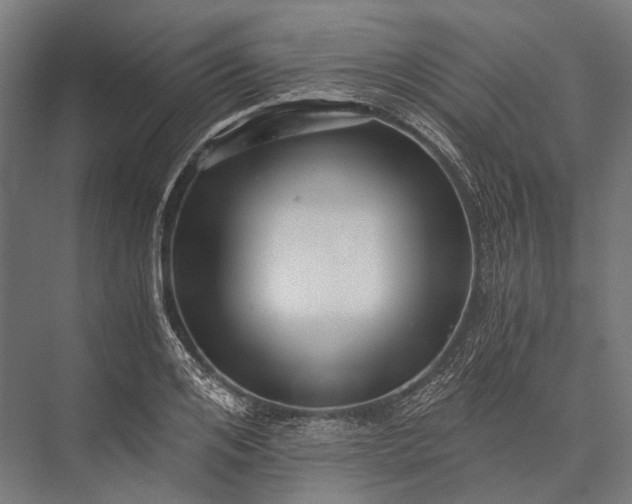 X0000076050984200610061505