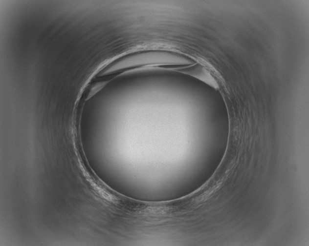 X0000076050989200610061505