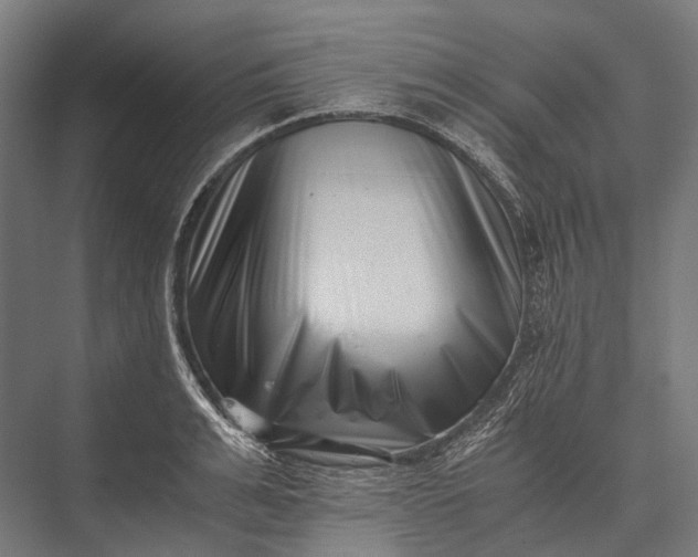 X0000076050991200610061505