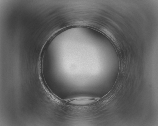 X0000076050992200610061505