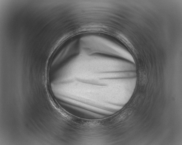 X0000076050994200610061505