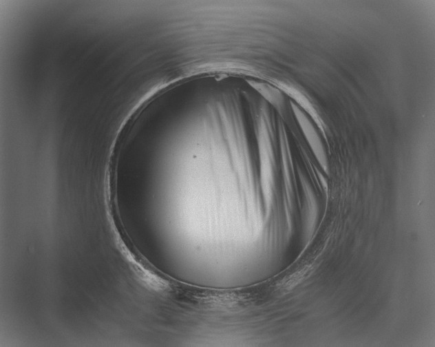 X0000076050999200610061505