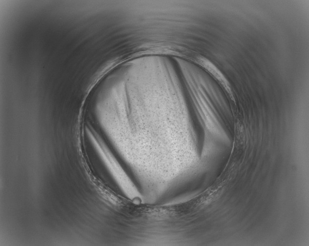 X0000076051002200610061505