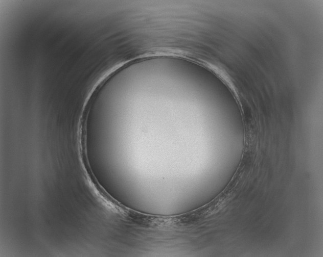 X0000076051003200610061505