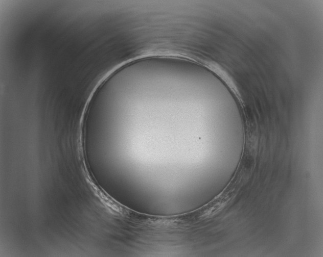 X0000076051004200610061505