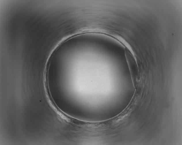 X0000076051005200610061505