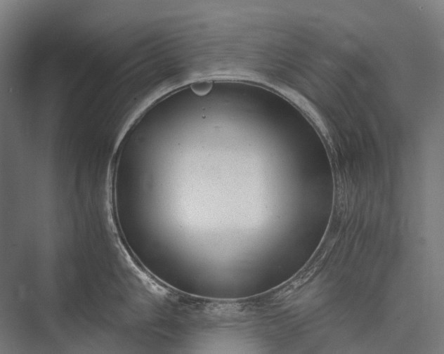 X0000076051006200610061505