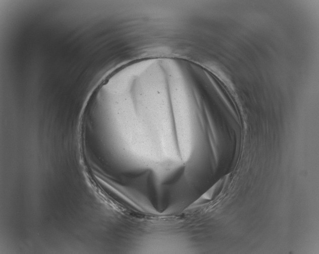 X0000076051008200610061505