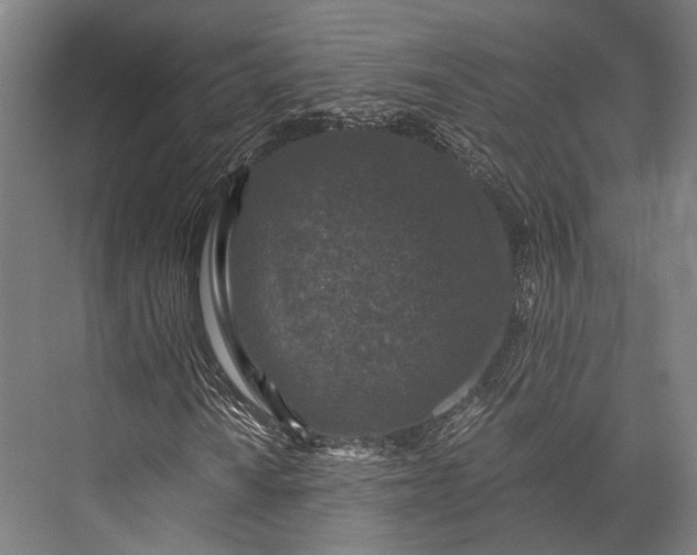 X0000076051010200610061504