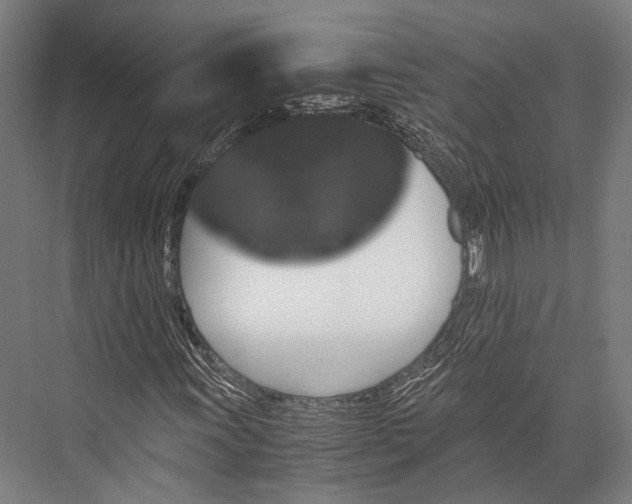 X0000076051011200610061504