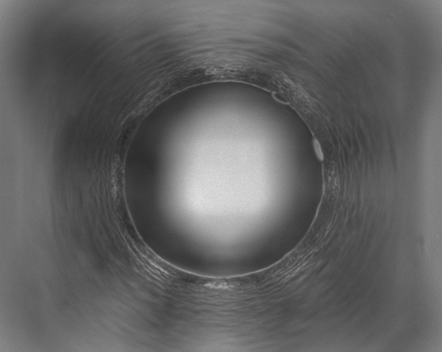 X0000076051012200610061504