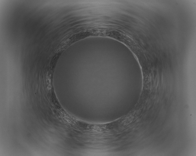 X0000076051013200610061504