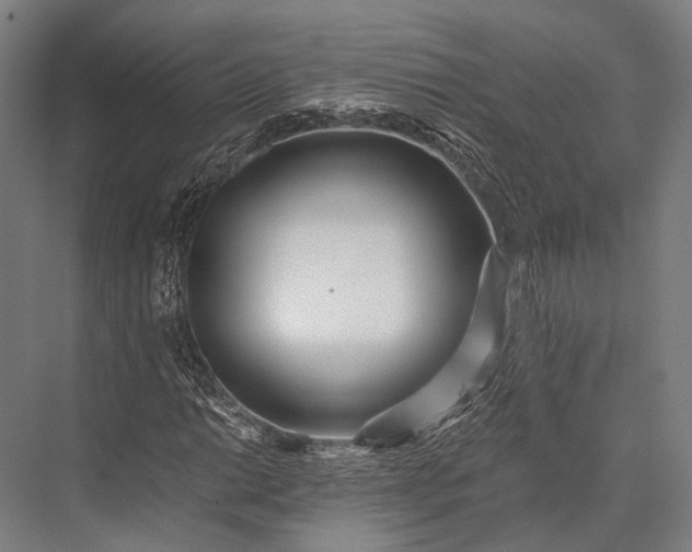 X0000076051014200610061504