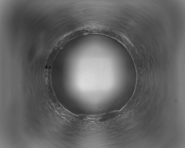 X0000076051016200610061504