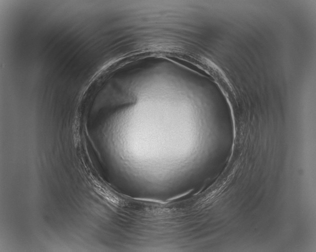 X0000076051019200610061504