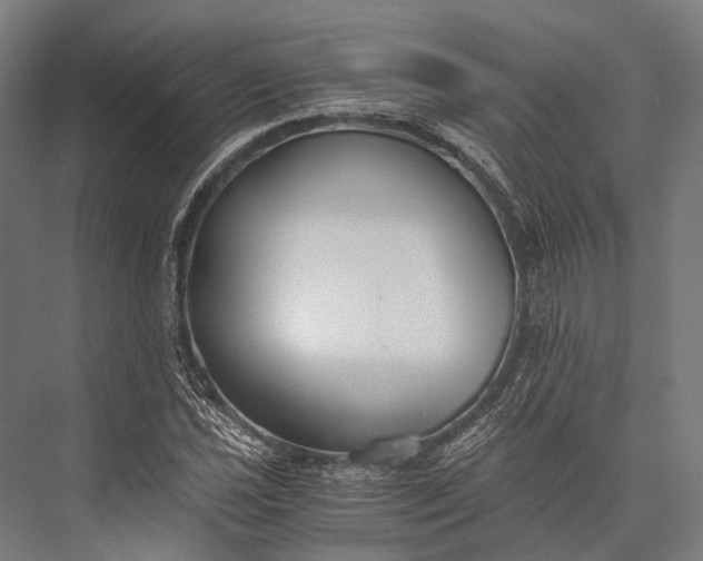 X0000076051021200610061504