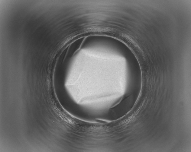 X0000076051025200610061504