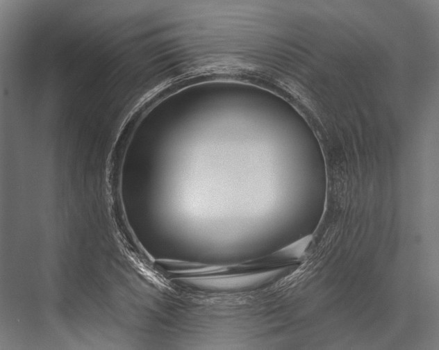X0000076051026200610061504