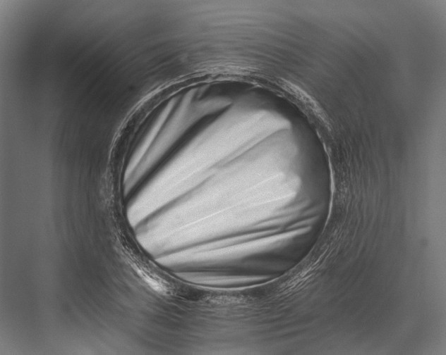 X0000076051027200610061504