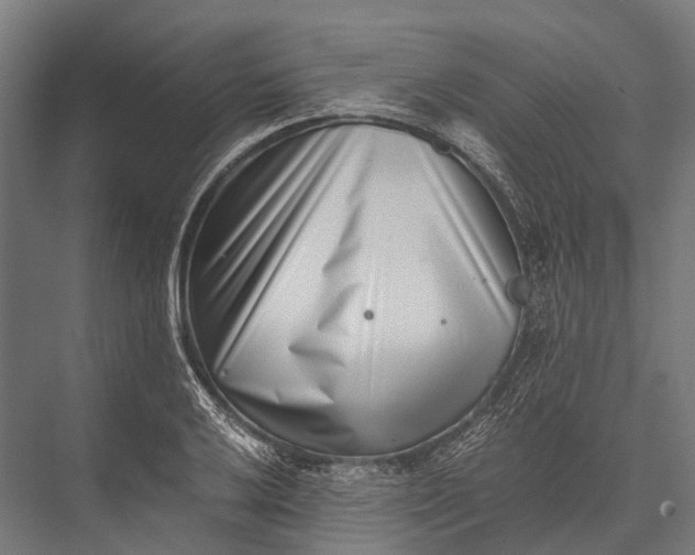 X0000076051032200610061505