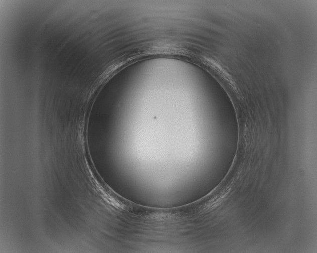 X0000076051033200610061505