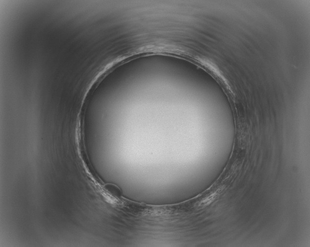 X0000076051040200610061505