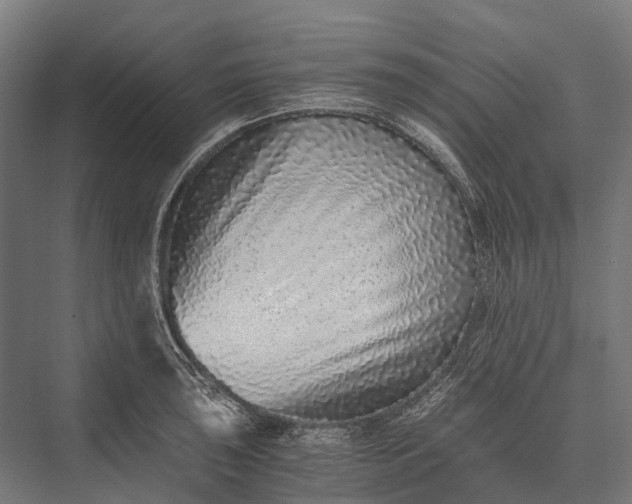 X0000076051043200610061505
