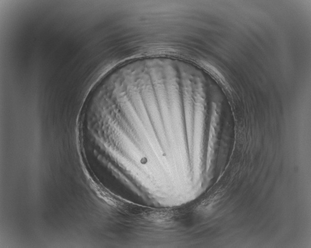 X0000076051047200610061505