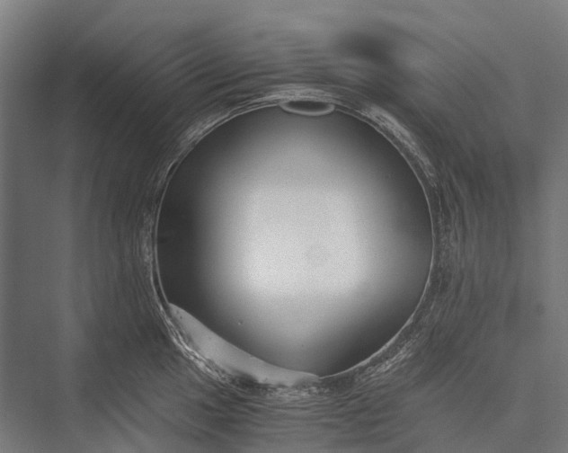 X0000076051049200610061505