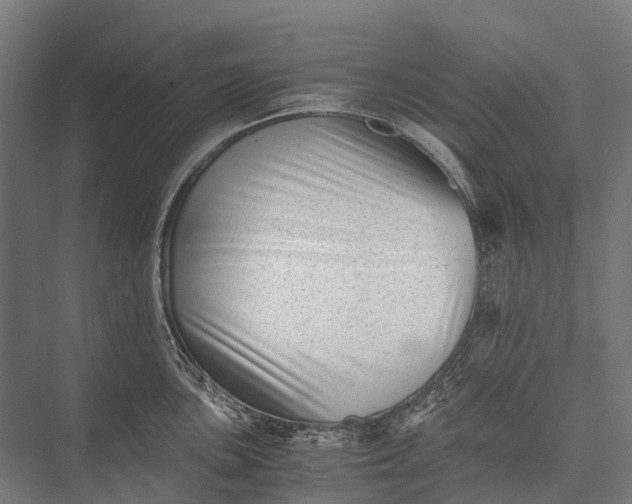 X0000076051051200610061505