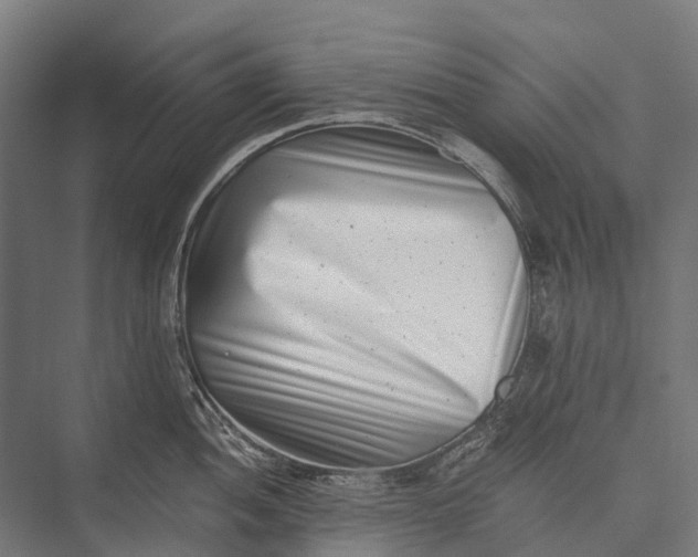X0000076051052200610061505