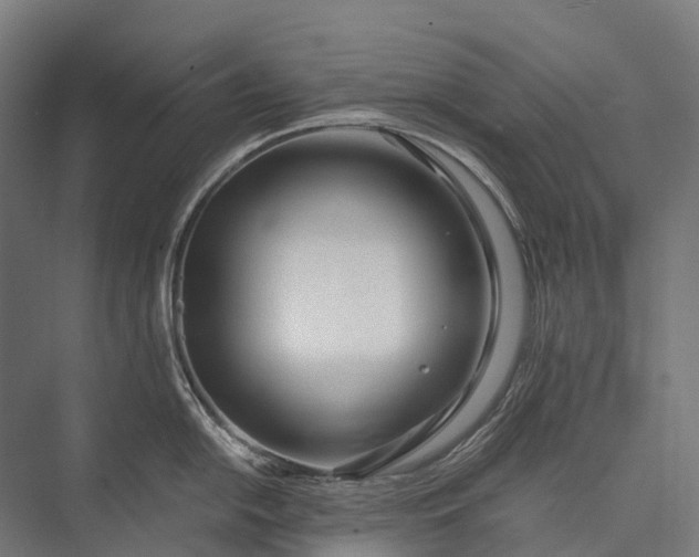 X0000076051054200610061505