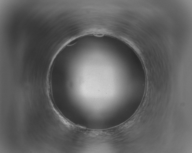 X0000076051056200610061505