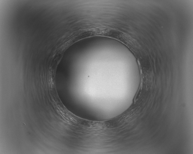 X0000076051058200610061504