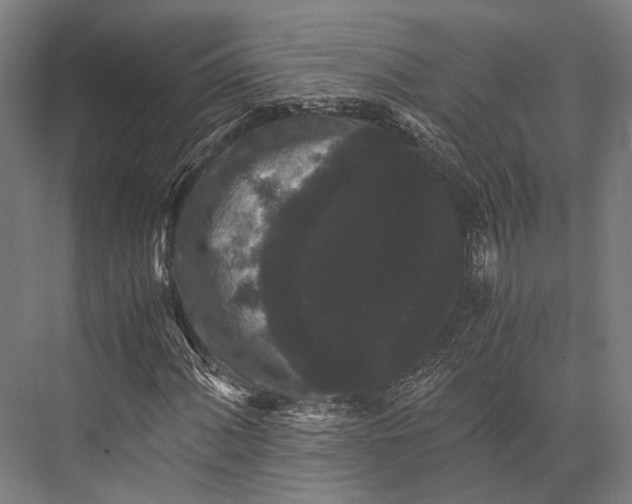 X0000076051060200610061504