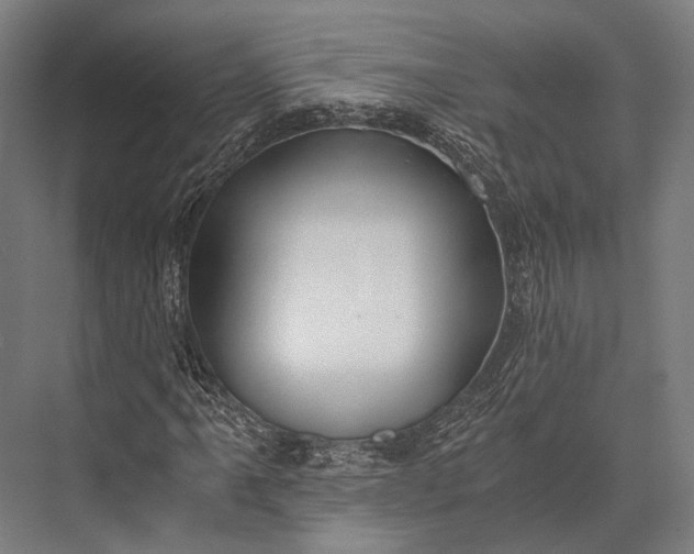 X0000076051061200610061504