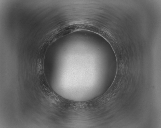 X0000076051062200610061504