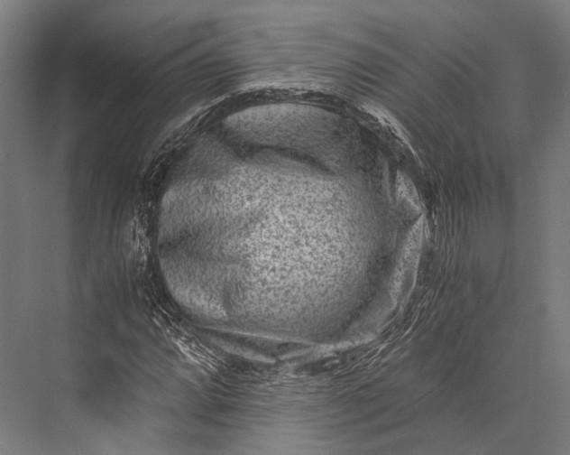 X0000076051064200610061504