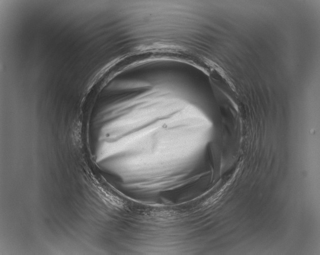 X0000076051066200610061504