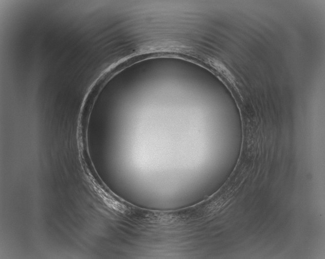 X0000076051072200610061504