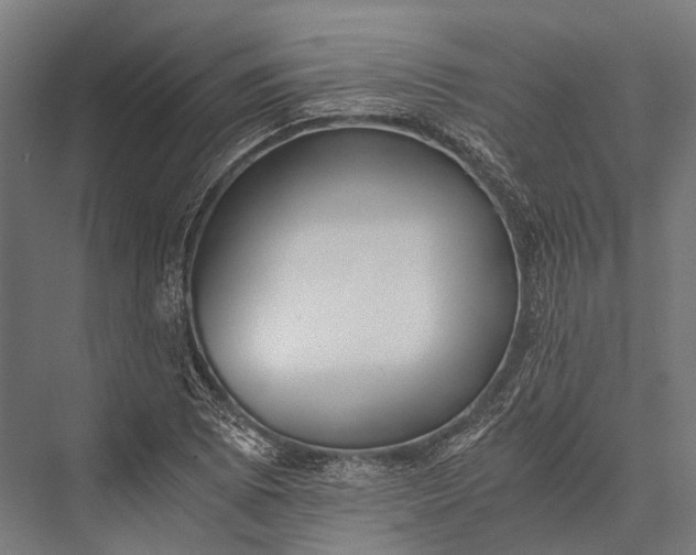 X0000076051073200610061504