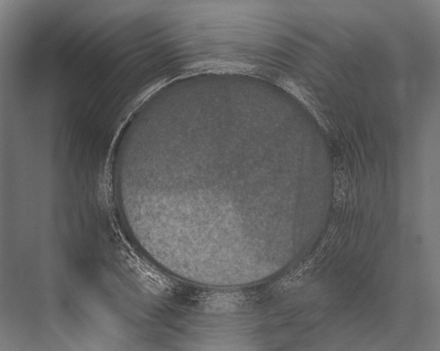 X0000076051074200610061504