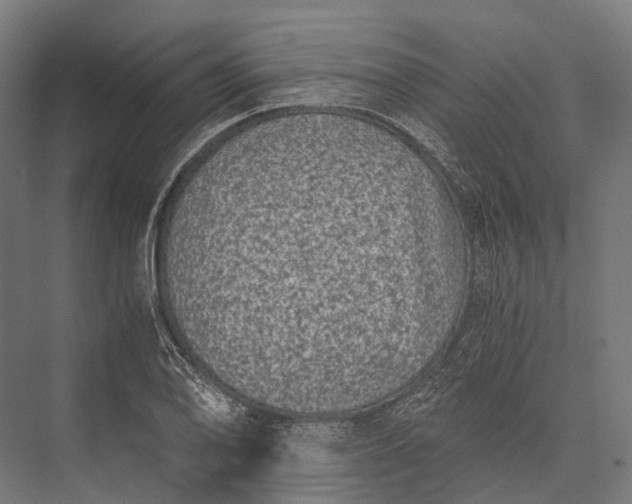 X0000076051078200610061504