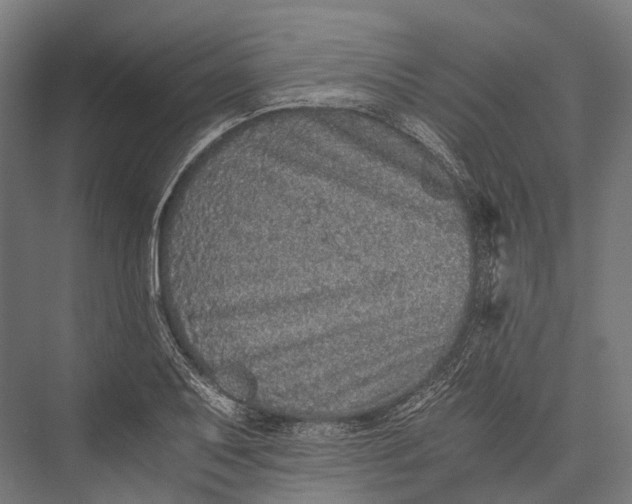 X0000076051079200610061504